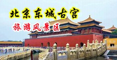福利射精女上司中国北京-东城古宫旅游风景区